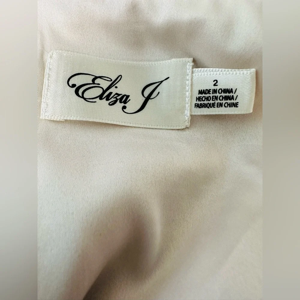 Eliza J floral Print Embroidered Mesh Gown Size 2 - Picture 10 of 11